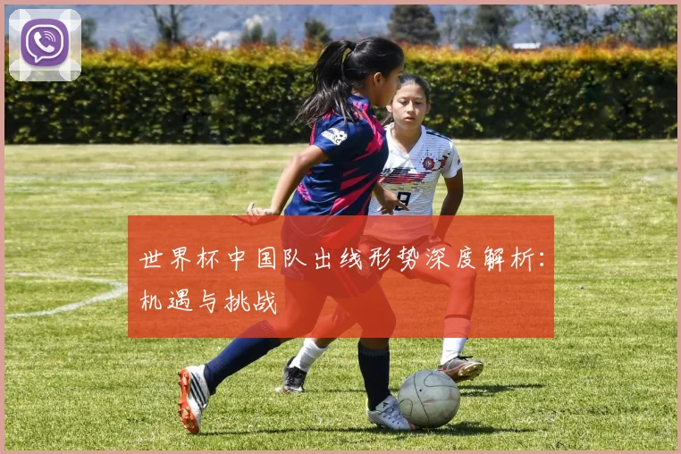 世界杯中国队出线形势深度解析：机遇与挑战